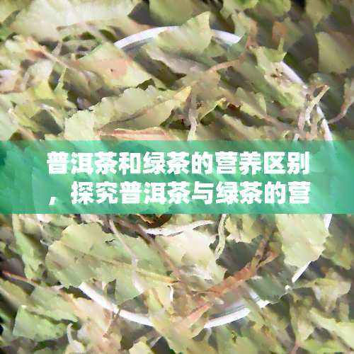 普洱茶和绿茶的营养区别，探究普洱茶与绿茶的营养差异