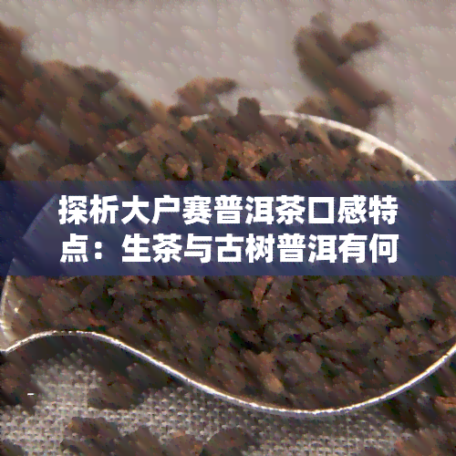 探析大户赛普洱茶口感特点：生茶与古树普洱有何不同？