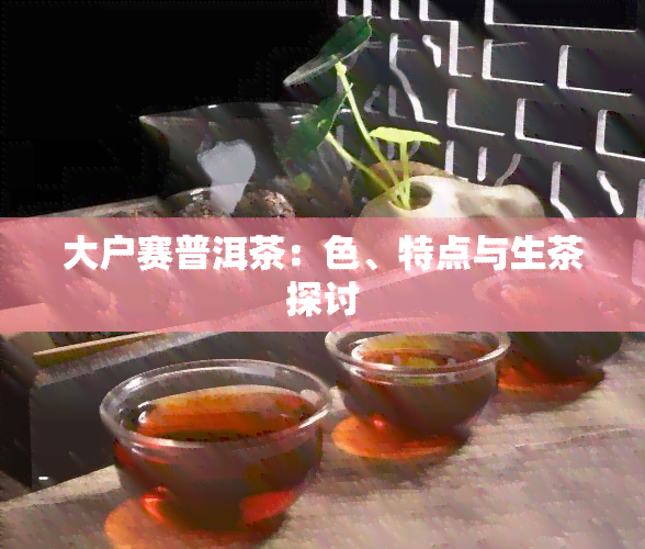 大户赛普洱茶：色、特点与生茶探讨