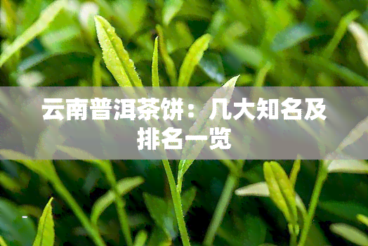 云南普洱茶饼：几大知名及排名一览