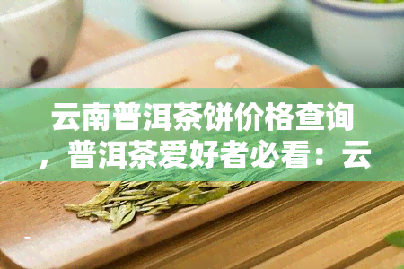 云南普洱茶饼价格查询，普洱茶爱好者必看：云南普洱茶饼价格全解析