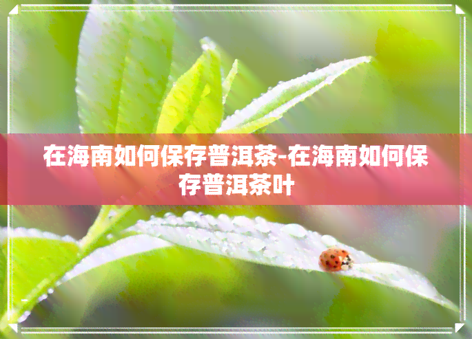 在海南如何保存普洱茶-在海南如何保存普洱茶叶