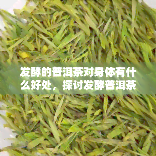 发酵的普洱茶对身体有什么好处，探讨发酵普洱茶对身体的好处