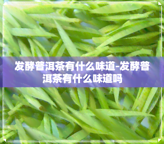 发酵普洱茶有什么味道-发酵普洱茶有什么味道吗