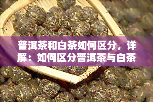 普洱茶和白茶如何区分，详解：如何区分普洱茶与白茶？