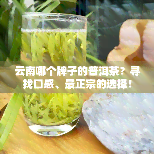 云南哪个牌子的普洱茶？寻找口感、最正宗的选择！