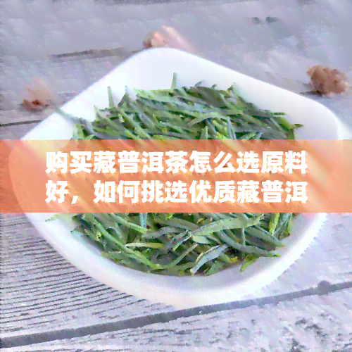 购买藏普洱茶怎么选原料好，如何挑选优质藏普洱茶原料？