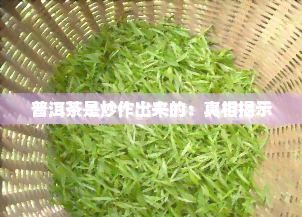 普洱茶是炒作出来的：真相揭示