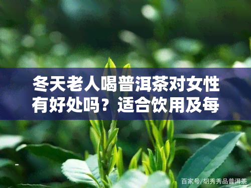 冬天老人喝普洱茶对女性有好处吗？适合饮用及每日推荐量是多少？