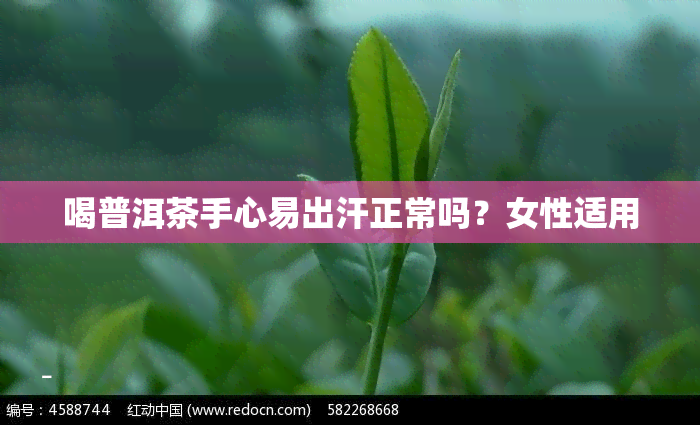 喝普洱茶手心易出汗正常吗？女性适用