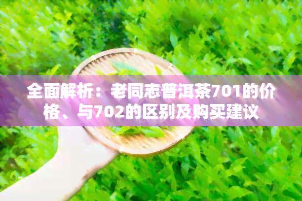 全面解析：老同志普洱茶701的价格、与702的区别及购买建议