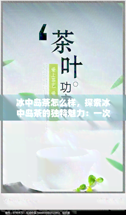 冰中岛茶怎么样，探索冰中岛茶的独特魅力：一次味蕾的冒险