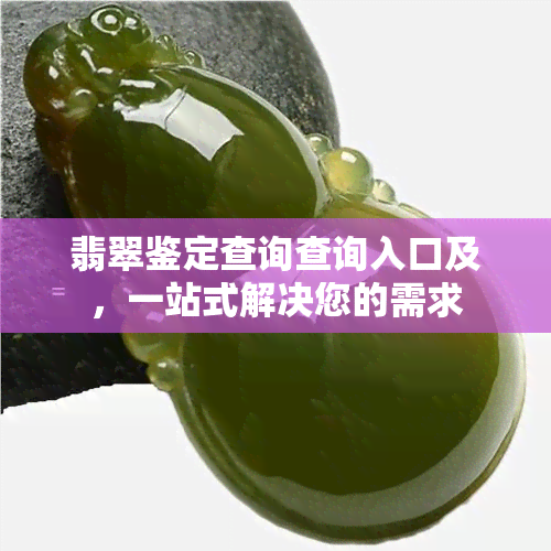 翡翠鉴定查询查询入口及，一站式解决您的需求