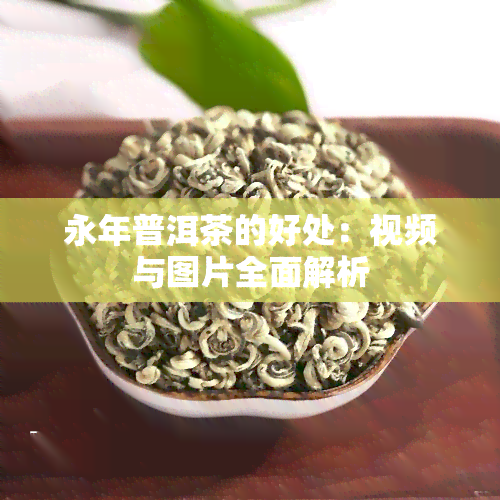 永年普洱茶的好处：视频与图片全面解析