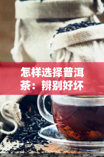 怎样选择普洱茶：辨别好坏的关键要素