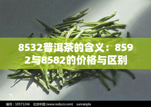 8532普洱茶的含义：8592与8582的价格与区别