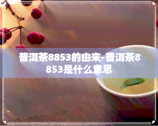 普洱茶8853的由来-普洱茶8853是什么意思