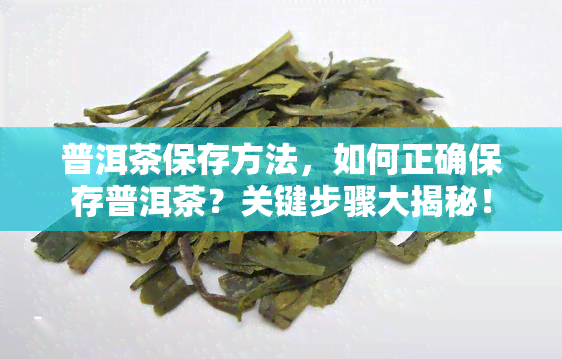 普洱茶保存方法，如何正确保存普洱茶？关键步骤大揭秘！