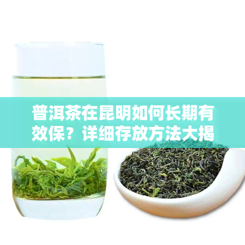 普洱茶在昆明如何长期有效保？详细存放方法大揭秘！