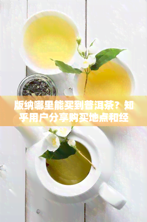 版纳哪里能买到普洱茶？知乎用户分享购买地点和经验