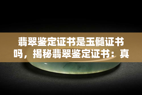 翡翠鉴定证书是玉髓证书吗，揭秘翡翠鉴定证书：真的是玉髓证书吗？