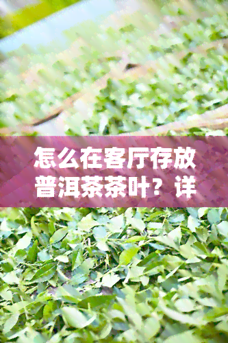 怎么在客厅存放普洱茶茶叶？详细步骤与注意事全在这！