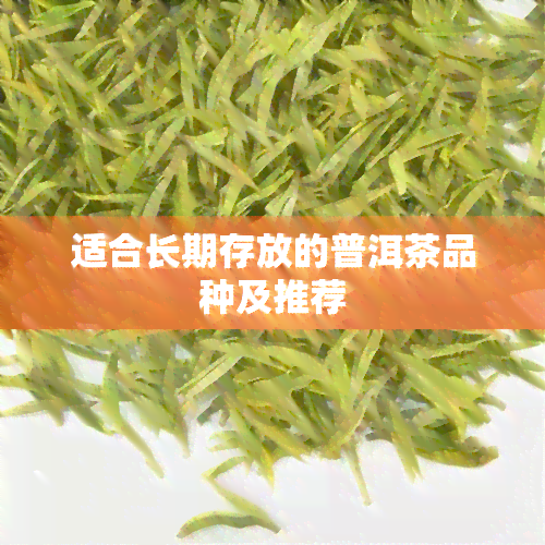 适合长期存放的普洱茶品种及推荐