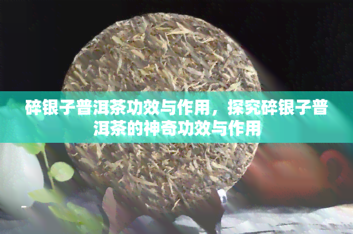 碎银子普洱茶功效与作用，探究碎银子普洱茶的神奇功效与作用