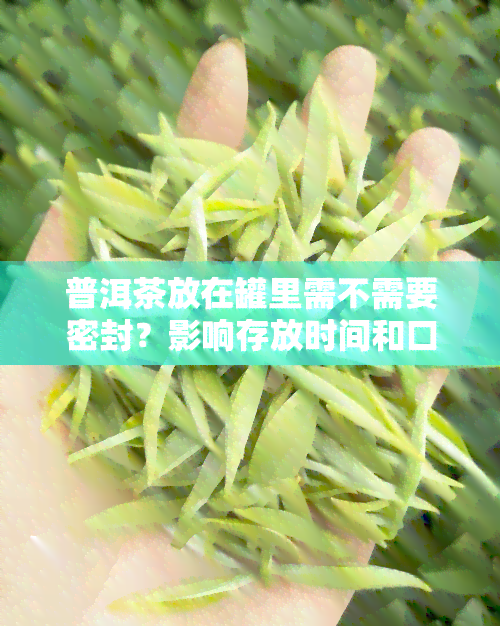 普洱茶放在罐里需不需要密封？影响存放时间和口感的原因