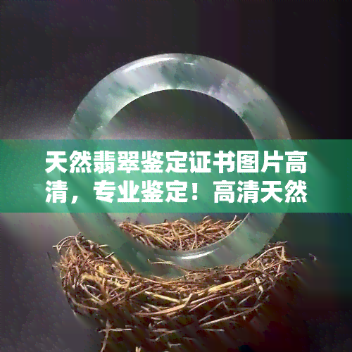 天然翡翠鉴定证书图片高清，专业鉴定！高清天然翡翠鉴定证书图片一览