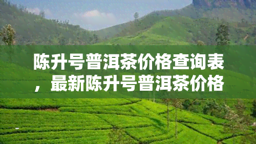 陈升号普洱茶价格查询表，最新陈升号普洱茶价格查询表，一网打尽全系列！