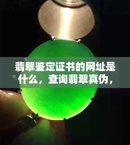 翡翠鉴定证书的网址是什么，查询翡翠真伪，了解翡翠鉴定证书的网址是什么？