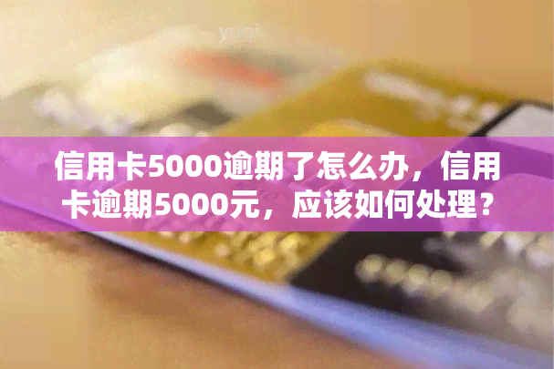 信用卡5000逾期了怎么办，信用卡逾期5000元，应该如何处理？