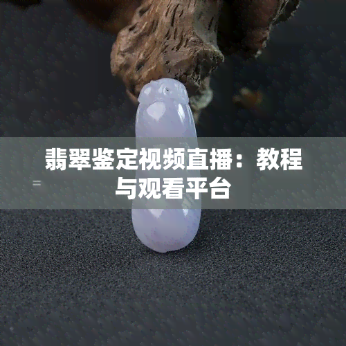 翡翠鉴定视频直播：教程与观看平台