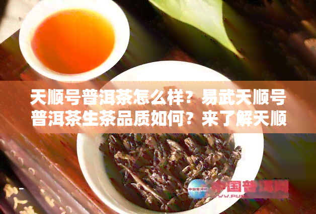 天顺号普洱茶怎么样？易武天顺号普洱茶生茶品质如何？来了解天顺祥普洱茶