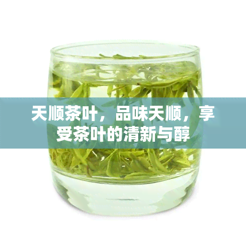 天顺茶叶，品味天顺，享受茶叶的清新与醇