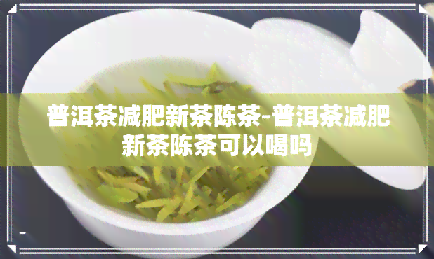 普洱茶减肥新茶陈茶-普洱茶减肥新茶陈茶可以喝吗