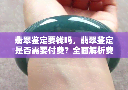 翡翠鉴定要钱吗，翡翠鉴定是否需要付费？全面解析费用问题