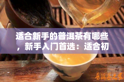 适合新手的普洱茶有哪些，新手入门首选：适合初学者的普洱茶推荐