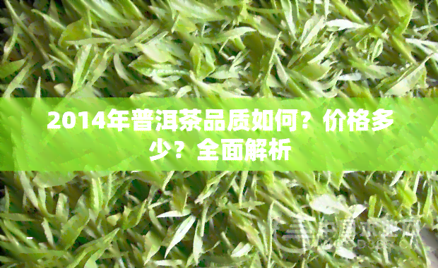 2014年普洱茶品质如何？价格多少？全面解析