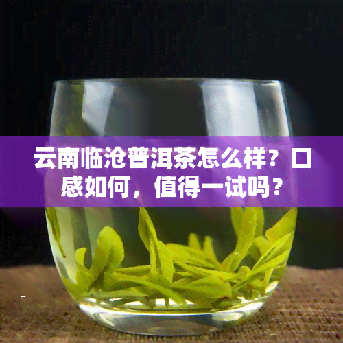 云南临沧普洱茶怎么样？口感如何，值得一试吗？