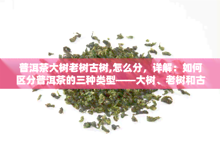 普洱茶大树老树古树,怎么分，详解：如何区分普洱茶的三种类型——大树、老树和古树？