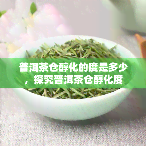 普洱茶仓醇化的度是多少，探究普洱茶仓醇化度