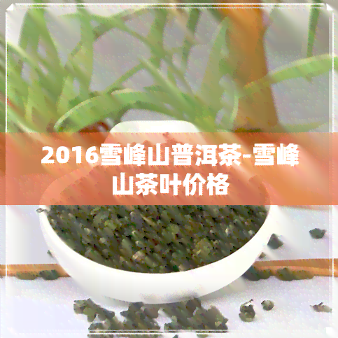 2016雪峰山普洱茶-雪峰山茶叶价格