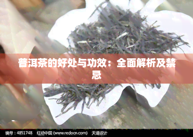 普洱茶的好处与功效：全面解析及禁忌