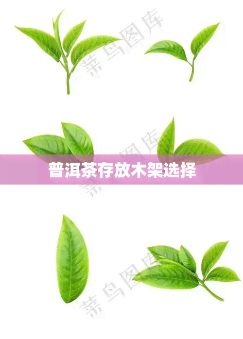 普洱茶存放木架选择