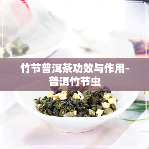 竹节普洱茶功效与作用-普洱竹节虫