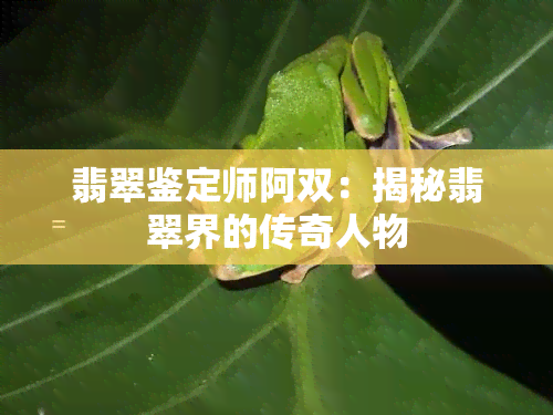 翡翠鉴定师阿双：揭秘翡翠界的传奇人物