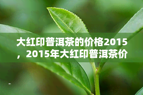 大红印普洱茶的价格2015，2015年大红印普洱茶价格行情分析