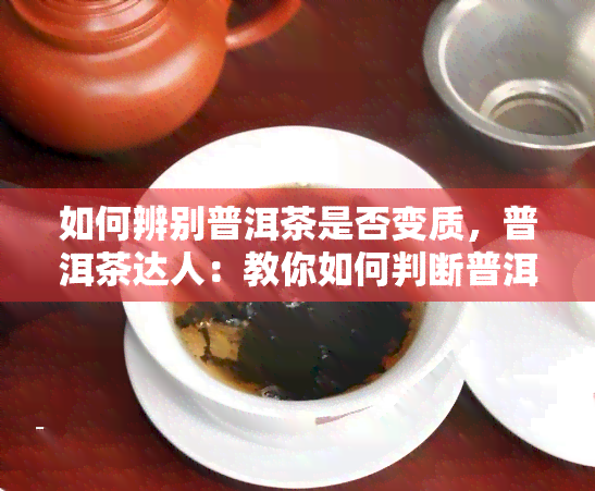 如何辨别普洱茶是否变质，普洱茶达人：教你如何判断普洱茶是否变质